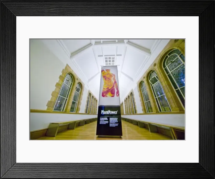 Framed Print : Darwins Canopy Gallery at the north end of the Central Hall Framed Print : Darwins Canopy Gallery at the north end of the Central Hall