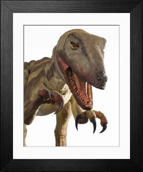 Framed Print : Velociraptor Framed Print : Velociraptor