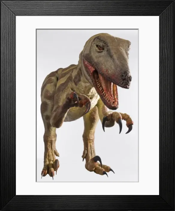 Framed Print : Velociraptor Framed Print : Velociraptor