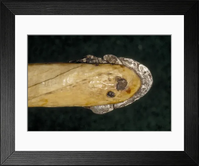 Framed Print : Hand tools made by the Inuit of Greenland Framed Print : Hand tools made by the Inuit of Greenland