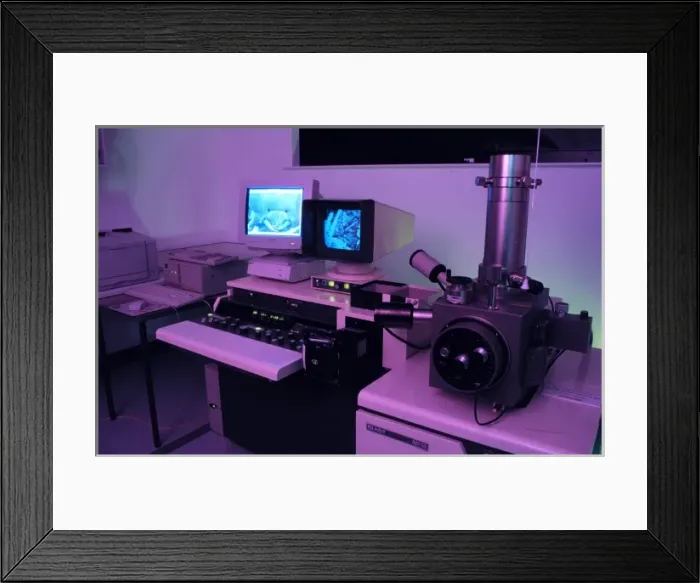 Framed Print : Variable pressure scanning electron microscope Framed Print : Variable pressure scanning electron microscope