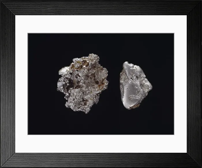Framed Print : Platinum. Two nuggets of platinum. Platinum is an elemental and very precious metal Framed Print : Platinum. Two nuggets of platinum. Platinum is an elemental and very precious metal