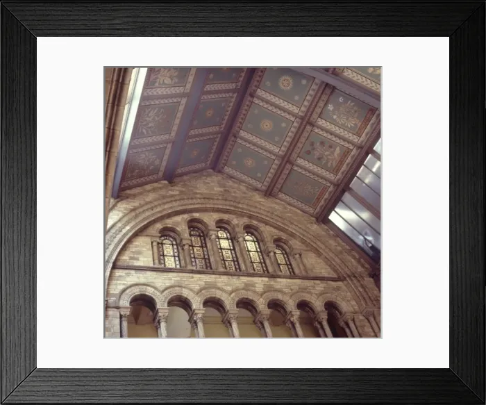 Framed Print : Interior view of the Natural History Museum, London Framed Print : Interior view of the Natural History Museum, London