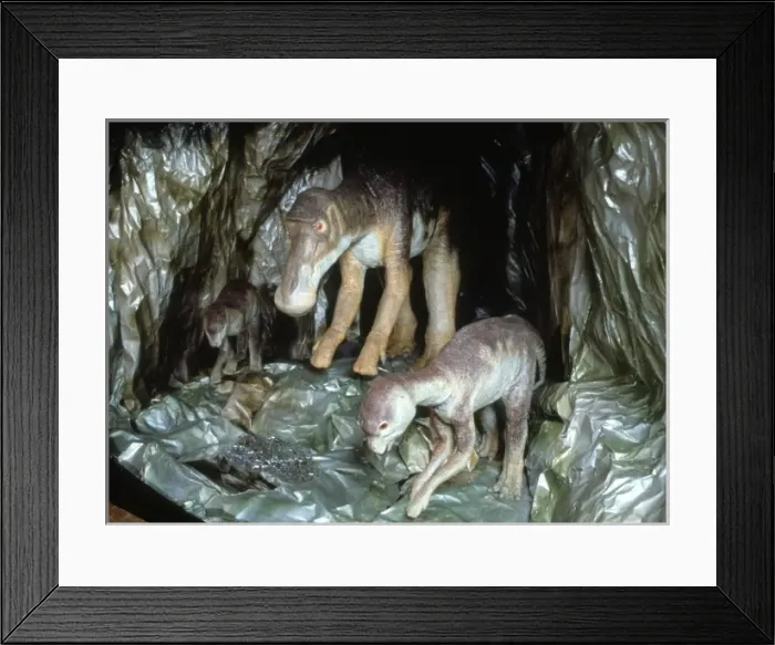 Framed Print : Maiasaura with young Framed Print : Maiasaura with young