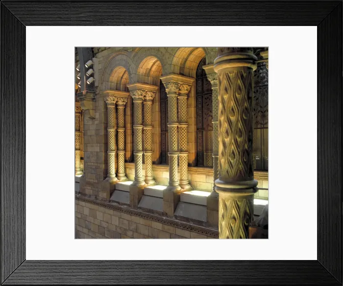 Framed Print : Detail of interior columns, the Natural History Museum, Lond Framed Print : Detail of interior columns, the Natural History Museum, Lond
