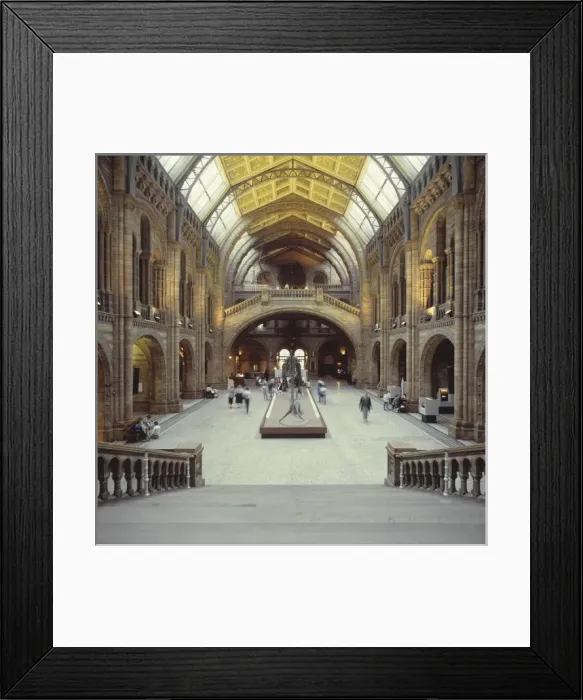 Framed Print : Central Hall at the Natural History Museum, London Framed Print : Central Hall at the Natural History Museum, London