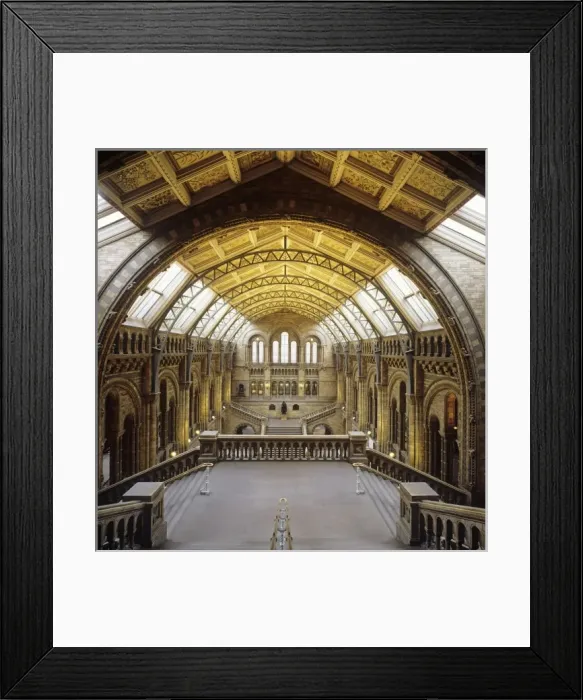 Framed Print : The Central Hall of the Natural History Museum, London Framed Print : The Central Hall of the Natural History Museum, London