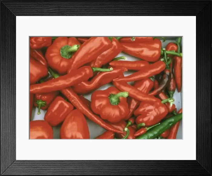 Framed Print : Capsicum sp. pepper Framed Print : Capsicum sp. pepper