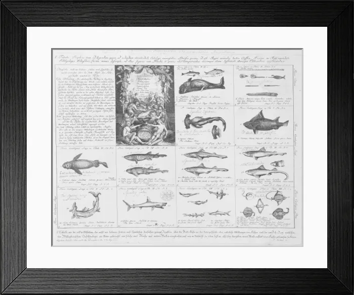 Framed Print : Tabula. Illustration from Handlung 1 Tabula, by Kirschner, 1786 Framed Print : Tabula. Illustration from Handlung 1 Tabula, by Kirschner, 1786