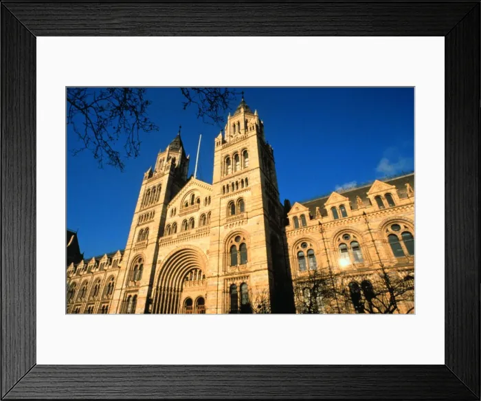 Framed Print : The Natural History Museum, London Framed Print : The Natural History Museum, London
