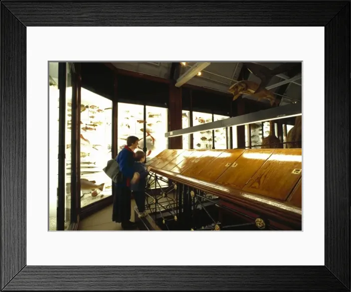 Framed Print : Gallery 3, Tring Framed Print : Gallery 3, Tring