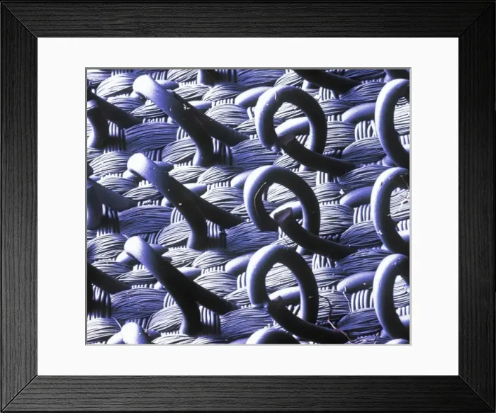 Framed Print : Velcro. A trademarked name for a fastening tape made up of a strip of nylon Framed Print : Velcro. A trademarked name for a fastening tape made up of a strip of nylon