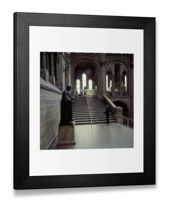 Framed Print : View of statue of Sir Richard Owen (1804-1892) Framed Print : View of statue of Sir Richard Owen (1804-1892)
