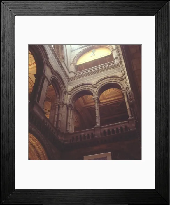 Framed Print : The Central Hall at The Natural History Museum, London Framed Print : The Central Hall at The Natural History Museum, London