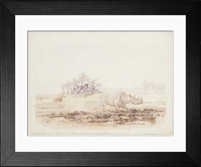 Framed Print : Ceratotherium simum, white rhinoceros Framed Print : Ceratotherium simum, white rhinoceros