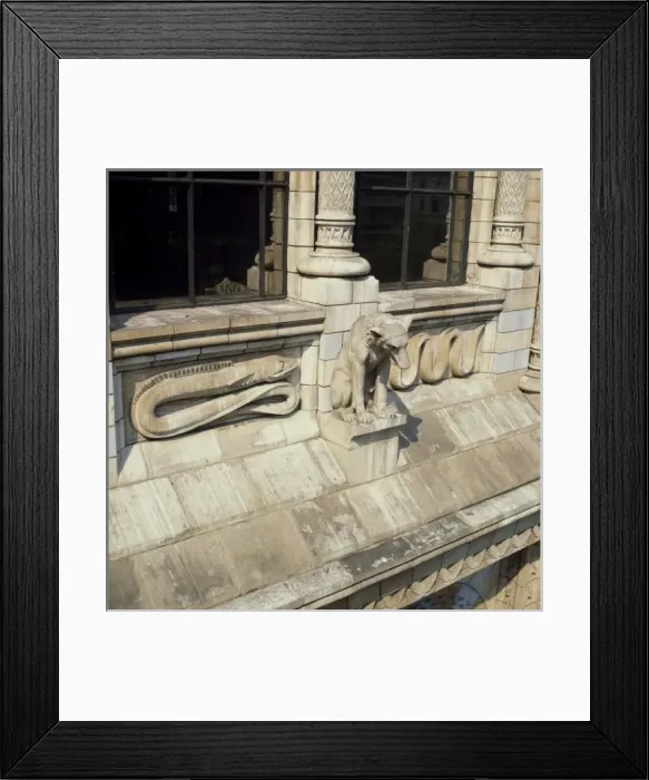 Framed Print : Exterior detail of The Natural History Museum, London Framed Print : Exterior detail of The Natural History Museum, London
