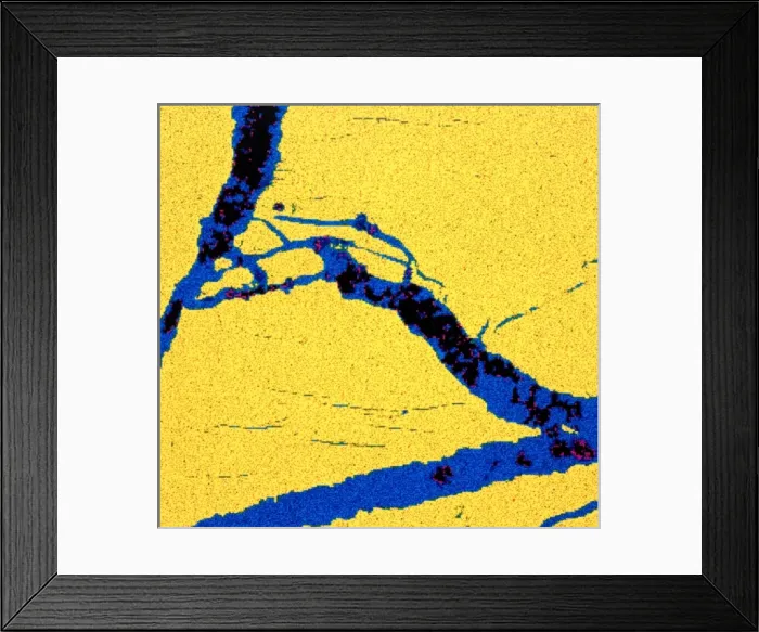 Framed Print : Tellurium. Scanning electron microscope image of an elemental map showing Framed Print : Tellurium. Scanning electron microscope image of an elemental map showing