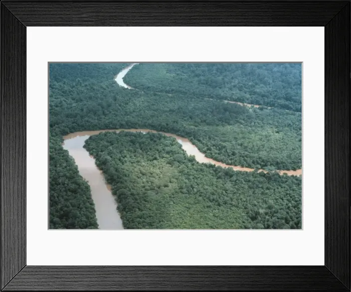 Framed Print : Aerial view of riverine forest Framed Print : Aerial view of riverine forest
