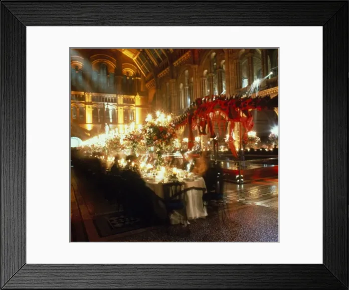Framed Print : The Blue Whale Annual Fundraising Ball Framed Print : The Blue Whale Annual Fundraising Ball