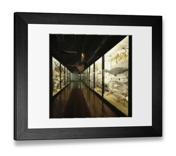 Framed Print : Gallery 5, Tring