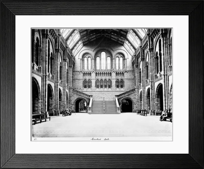 Framed Print : The Central Hall of the Natural History Museum, London Framed Print : The Central Hall of the Natural History Museum, London