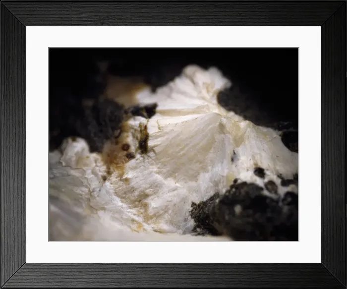 Framed Print : Gobbinsite Framed Print : Gobbinsite