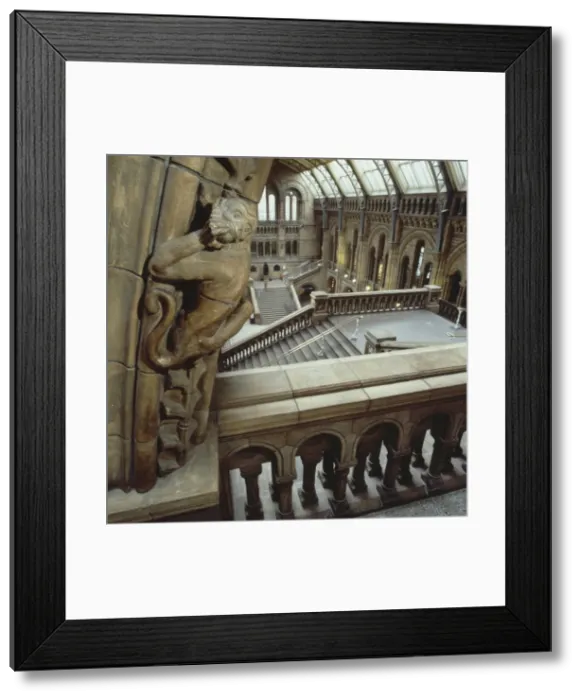 Framed Print : The Central Hall of the Natural History Museum, London Framed Print : The Central Hall of the Natural History Museum, London