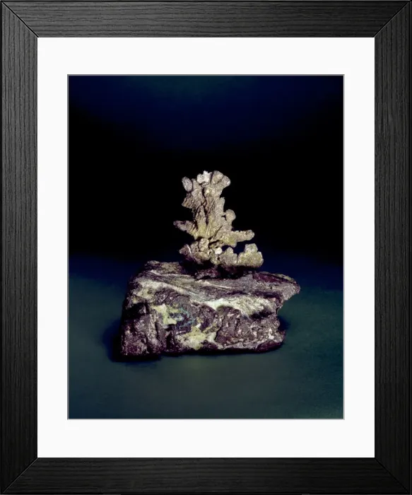 Framed Print : Silver on Copper Framed Print : Silver on Copper
