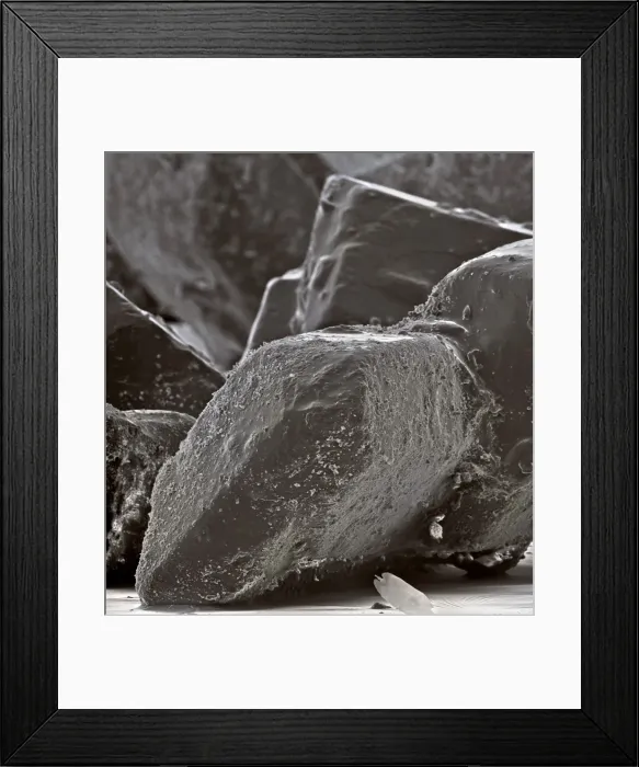 Framed Print : Sugar grains Framed Print : Sugar grains