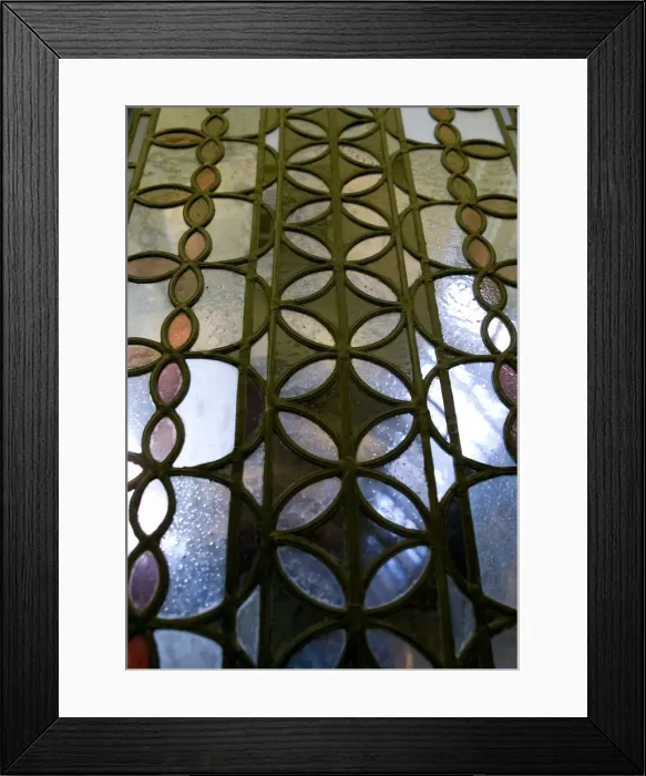 Framed Print : Darwins Canopy Gallery at the north end of the Central Hall Framed Print : Darwins Canopy Gallery at the north end of the Central Hall