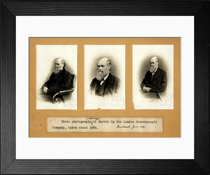 Framed Print : Charles Robert Darwin (1809-1881) Framed Print : Charles Robert Darwin (1809-1881)