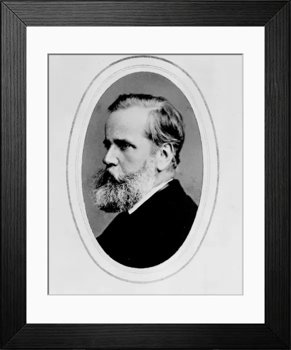 Framed Print : Dom Pedro II, Emperor of Brazil (1825-1891) Framed Print : Dom Pedro II, Emperor of Brazil (1825-1891)