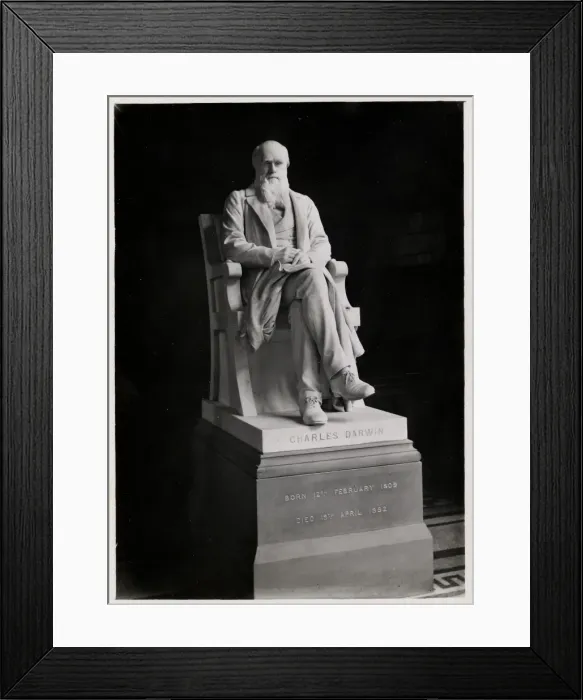 Framed Print : Charles Robert Darwin (1809-1882) Framed Print : Charles Robert Darwin (1809-1882)