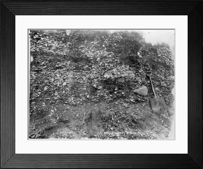 Framed Print : Bone digging, Elizabeth Island, Strait of Magellan Framed Print : Bone digging, Elizabeth Island, Strait of Magellan
