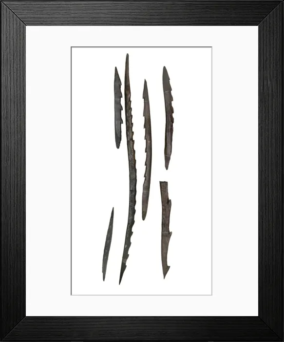 Framed Print : Barbed points from Star Carr Framed Print : Barbed points from Star Carr
