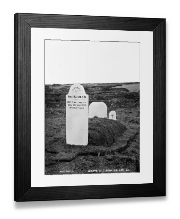 Framed Print : Grave of Thomas Bush, A. B. Falkland Islands Framed Print : Grave of Thomas Bush, A. B. Falkland Islands