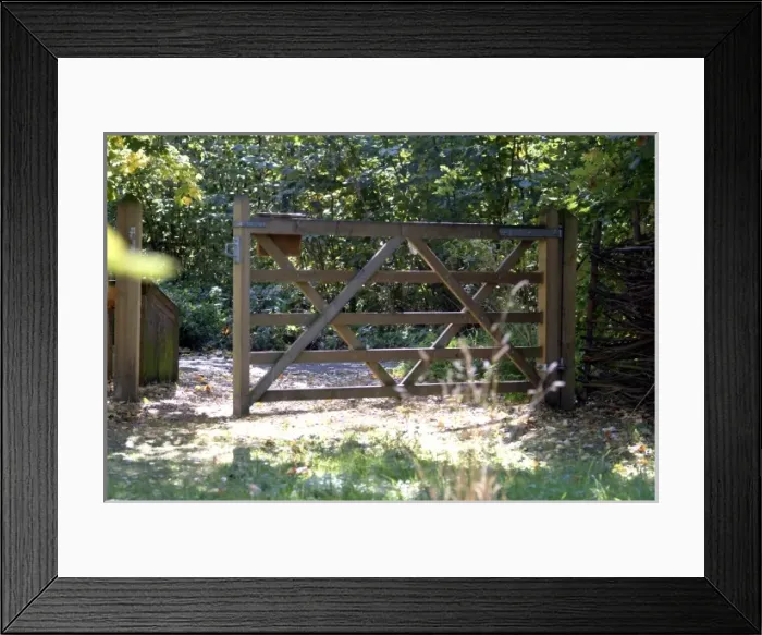 Framed Print : Wildlife Garden gate Framed Print : Wildlife Garden gate