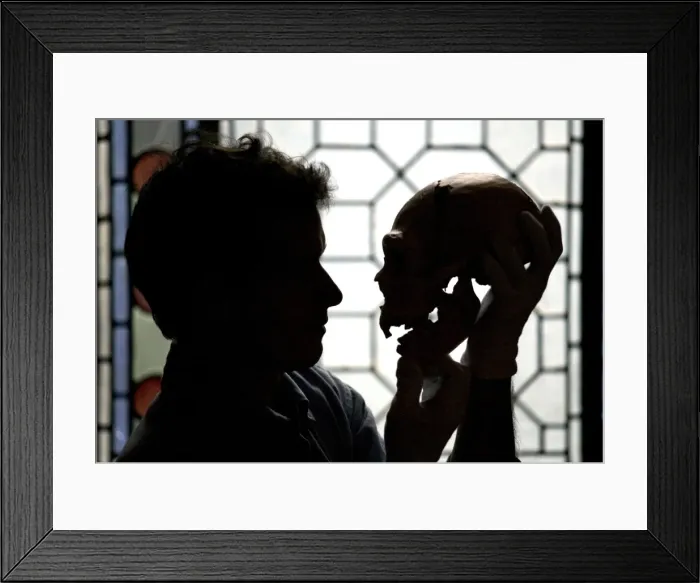 Framed Print : Homo neanderthalensis, neandertal man Framed Print : Homo neanderthalensis, neandertal man