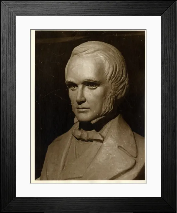 Framed Print : Charles Robert Darwin (1809-1881) Framed Print : Charles Robert Darwin (1809-1881)