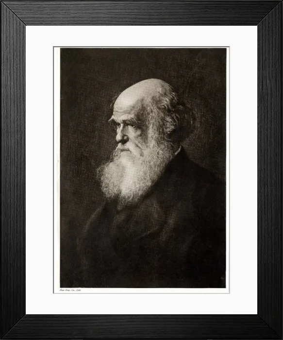 Framed Print : Charles Robert Darwin (1809-1881) Framed Print : Charles Robert Darwin (1809-1881)