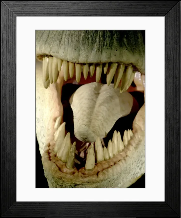 Framed Print : Tyrannosaurus rex Framed Print : Tyrannosaurus rex
