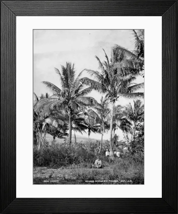Framed Print : View of Woods at Tongataboo, Friendly Islands Framed Print : View of Woods at Tongataboo, Friendly Islands