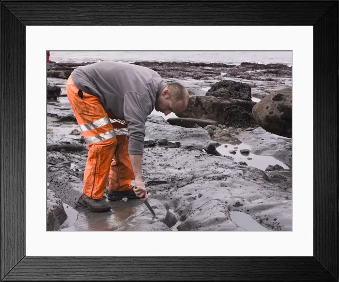 Framed Print : Excavating at Charmouth Framed Print : Excavating at Charmouth