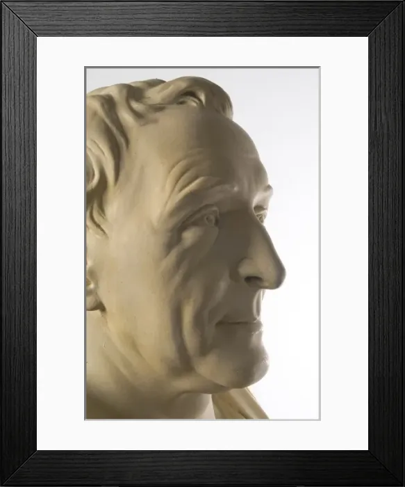 Framed Print : Bust of Carl Linnaeus (1707-1778) Framed Print : Bust of Carl Linnaeus (1707-1778)