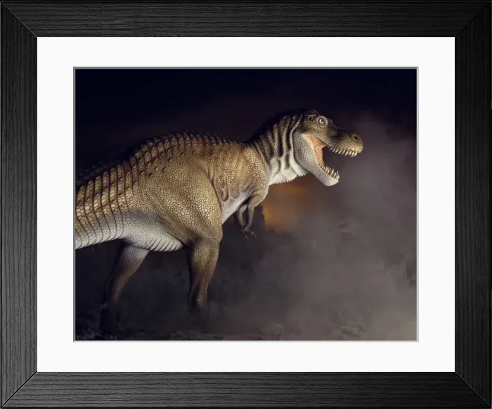 Framed Print : Tyrannosaurus rex Framed Print : Tyrannosaurus rex