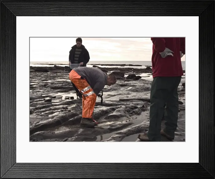 Framed Print : Excavating at Charmouth Framed Print : Excavating at Charmouth