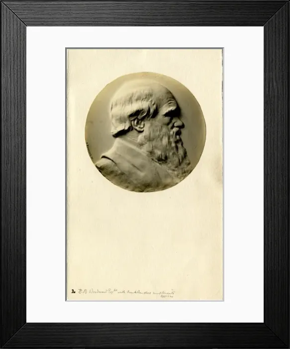 Framed Print : Charles Robert Darwin (1809-1881) Framed Print : Charles Robert Darwin (1809-1881)