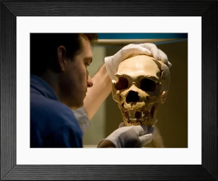 Framed Print : Homo neanderthalensis, neanderthal man Framed Print : Homo neanderthalensis, neanderthal man