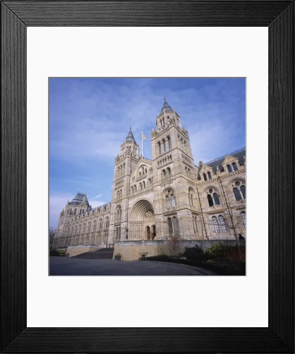 Framed Print : Natural History Museum, London Framed Print : Natural History Museum, London