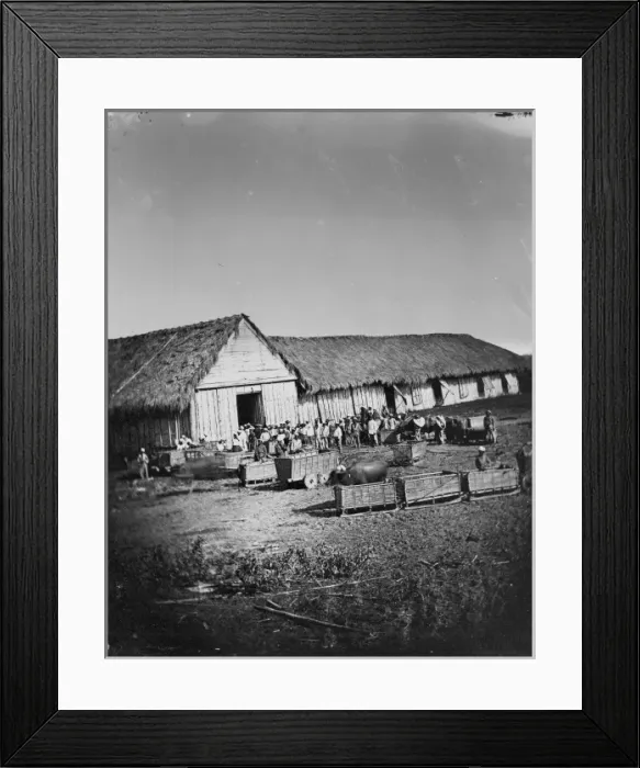 Framed Print : Tobacco market, Philippines Framed Print : Tobacco market, Philippines